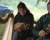 Harpe et nyckelharpa dehors par un temps pareil !